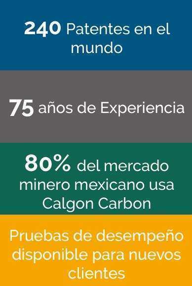 Calgon Carbon Ventas y Características